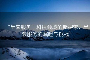 “半套服務”科技領域的新探索，半套服務的崛起與挑戰