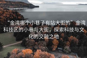 “金灣哪個(gè)小巷子有站大街的”金灣科技區(qū)的小巷與大街，探索科技與文化的交融之地