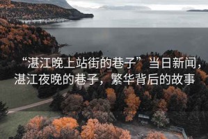 “湛江晚上站街的巷子”當日新聞，湛江夜晚的巷子，繁華背后的故事