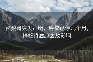 鹵鵝哥突發(fā)聲明，房貸已停幾個月，揭秘背后原因及影響