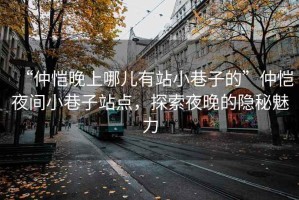“仲愷晚上哪兒有站小巷子的”仲愷夜間小巷子站點，探索夜晚的隱秘魅力
