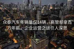 眾泰汽車年銷量僅14輛，高管卻拿百萬年薪，企業(yè)運營之謎引人深思