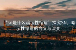 “sn是什么暗示性縮寫”探究SN，暗示性縮寫的含義與演變