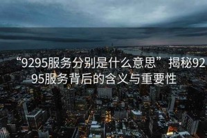 “9295服務分別是什么意思”揭秘9295服務背后的含義與重要性
