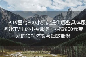 “KTV里給800小費能提供哪些具體服務?KTV里的小費服務，探索800元帶來的獨特體驗與細致服務