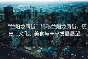 “益陽龍鳳街”揭秘益陽龍鳳街，歷史、文化、美食與未來發(fā)展展望