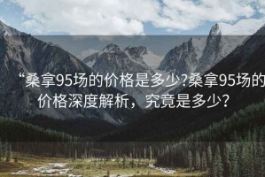 “桑拿95場的價(jià)格是多少?桑拿95場的價(jià)格深度解析，究竟是多少？