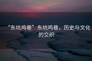 “東坑雞巷”東坑雞巷，歷史與文化的交織