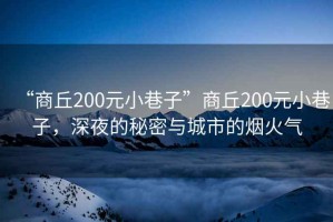 “商丘200元小巷子”商丘200元小巷子，深夜的秘密與城市的煙火氣