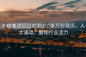 中核集團(tuán)回應(yīng)收到100多萬份簡歷，人才涌動，展現(xiàn)行業(yè)活力