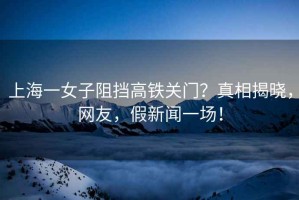 上海一女子阻擋高鐵關門？真相揭曉，網友，假新聞一場！