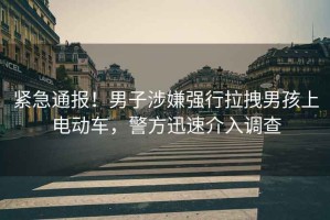 緊急通報！男子涉嫌強行拉拽男孩上電動車，警方迅速介入調查