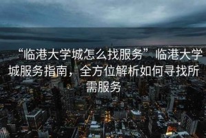 “臨港大學城怎么找服務”臨港大學城服務指南，全方位解析如何尋找所需服務