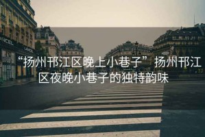 “揚州邗江區晚上小巷子”揚州邗江區夜晚小巷子的獨特韻味