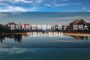 “昆明大樹營哪里有小巷子”昆明大樹營的小巷探秘