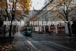 美債被拋售，特朗普政府為何慌了手腳？