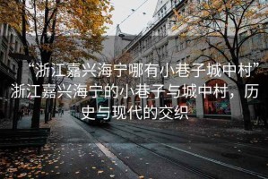 “浙江嘉興海寧哪有小巷子城中村”浙江嘉興海寧的小巷子與城中村，歷史與現(xiàn)代的交織