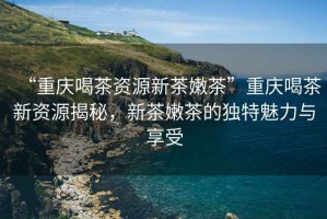 “重慶喝茶資源新茶嫩茶”重慶喝茶新資源揭秘，新茶嫩茶的獨(dú)特魅力與享受