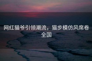 網(wǎng)紅貓爺引領(lǐng)潮流，貓步模仿風(fēng)席卷全國(guó)
