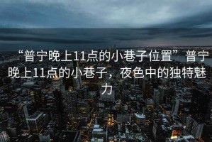 “普寧晚上11點的小巷子位置”普寧晚上11點的小巷子，夜色中的獨特魅力
