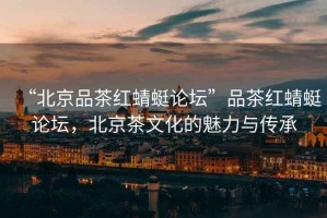 “北京品茶紅蜻蜓論壇”品茶紅蜻蜓論壇，北京茶文化的魅力與傳承