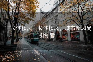 “長沙樓鳳”長沙樓鳳，城市新風尚引領者