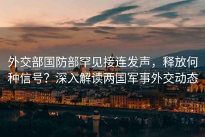 外交部國防部罕見接連發聲，釋放何種信號？深入解讀兩國軍事外交動態