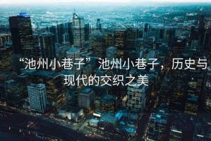 “池州小巷子”池州小巷子，歷史與現(xiàn)代的交織之美