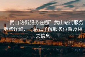 “武山站街服務在哪”武山站街服務地點詳解，一站式了解服務位置及相關信息