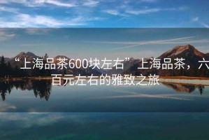“上海品茶600塊左右”上海品茶，六百元左右的雅致之旅