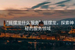 “搖擺龍什么服務”搖擺龍，探索神秘的服務領域