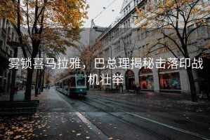 霧鎖喜馬拉雅，巴總理揭秘擊落印戰機壯舉