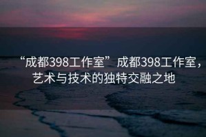 “成都398工作室”成都398工作室，藝術與技術的獨特交融之地