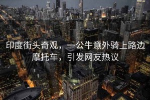 印度街頭奇觀，一公牛意外騎上路邊摩托車，引發(fā)網(wǎng)友熱議