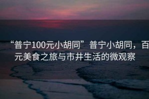 “普寧100元小胡同”普寧小胡同，百元美食之旅與市井生活的微觀察