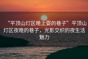 “平頂山燈區(qū)晚上耍的巷子”平頂山燈區(qū)夜晚的巷子，光影交織的夜生活魅力