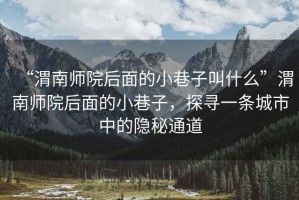 “渭南師院后面的小巷子叫什么”渭南師院后面的小巷子，探尋一條城市中的隱秘通道