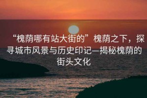 “槐蔭哪有站大街的”槐蔭之下，探尋城市風景與歷史印記—揭秘槐蔭的街頭文化