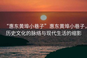 “惠東黃埠小巷子”惠東黃埠小巷子，歷史文化的脈絡(luò)與現(xiàn)代生活的縮影