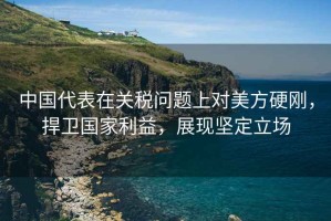 中國(guó)代表在關(guān)稅問(wèn)題上對(duì)美方硬剛，捍衛(wèi)國(guó)家利益，展現(xiàn)堅(jiān)定立場(chǎng)