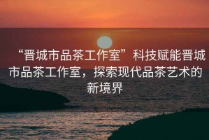 “晉城市品茶工作室”科技賦能晉城市品茶工作室，探索現代品茶藝術的新境界