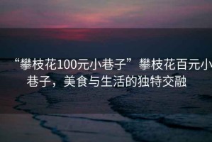 “攀枝花100元小巷子”攀枝花百元小巷子，美食與生活的獨特交融