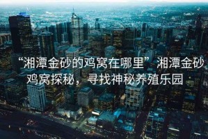 “湘潭金砂的雞窩在哪里”湘潭金砂雞窩探秘，尋找神秘養(yǎng)殖樂園