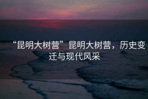 “昆明大樹(shù)營(yíng)”昆明大樹(shù)營(yíng)，歷史變遷與現(xiàn)代風(fēng)采