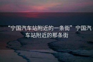 “寧國汽車站附近的一條街”寧國汽車站附近的那條街