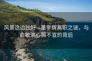 風景這邊獨好—董宇輝離職之謎，與俞敏洪心照不宣的背后