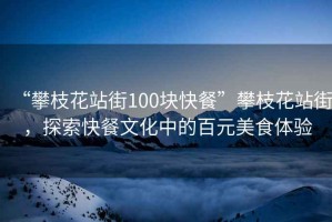 “攀枝花站街100塊快餐”攀枝花站街，探索快餐文化中的百元美食體驗