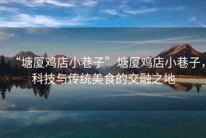 “塘廈雞店小巷子”塘廈雞店小巷子，科技與傳統(tǒng)美食的交融之地