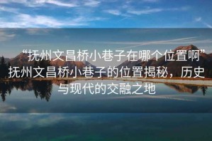“撫州文昌橋小巷子在哪個(gè)位置啊”撫州文昌橋小巷子的位置揭秘，歷史與現(xiàn)代的交融之地