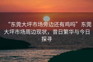 “東莞大坪市場旁邊還有雞嗎”東莞大坪市場周邊現狀，昔日繁華與今日探尋
